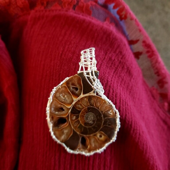 ✨Gorgeous ULTRA RARE Cleoniceras necklace ✨ - Picture 3 of 6